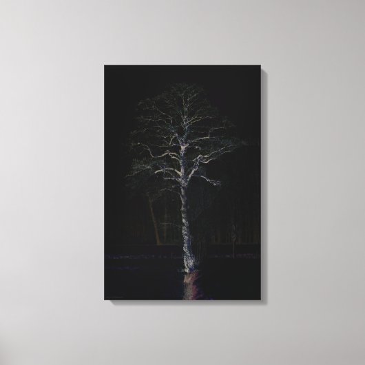 Dunkle Seite 3 16x24 (40x60cm) waccna Leinwanddruck (Vorderseite)