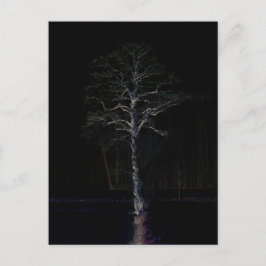 Dunkle Seite 3 pccnm Postkarte