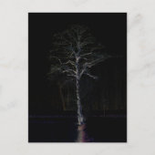 Dunkle Seite 3 pccnm Postkarte (Vorderseite)