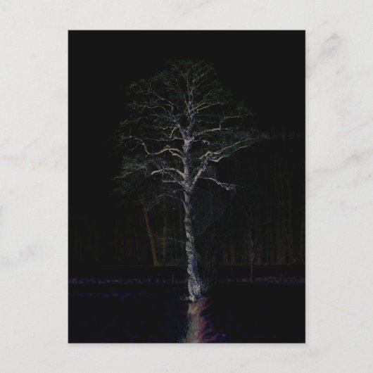 Dunkle Seite 3 pccnm Postkarte (Vorderseite)