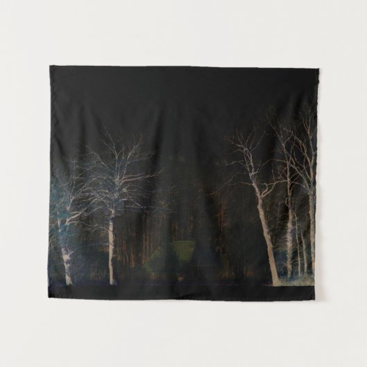 Dunkle Seite 4 Wtcnm Wandteppich (Vorderseite (Horizontal))