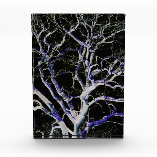 Dunkle Seite 5 pbcnm Fotoblock (Vorderseite)