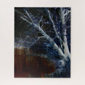 Dunkle Seite 7 16x20 520pc jpcna Puzzle (Vertikal)