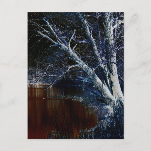 Dunkle Seite 7 pccnm Postkarte (Vorderseite)