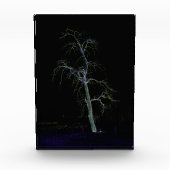 Dunkle Seite 8 pbcnm Fotoblock (Vorderseite)