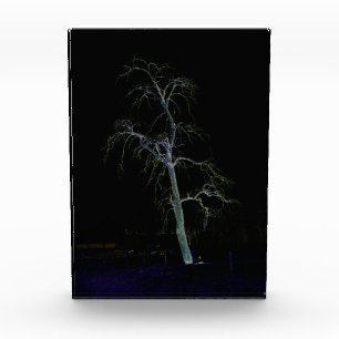 Dunkle Seite 8 pbcnm Fotoblock