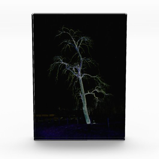 Dunkle Seite 8 pbcnm Fotoblock (Vorderseite)