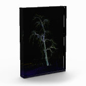 Dunkle Seite 8 pbcnm Fotoblock (Links)