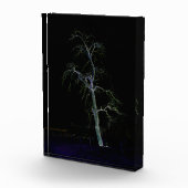 Dunkle Seite 8 pbcnm Fotoblock (Rechts)