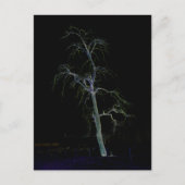 Dunkle Seite 8 pccna Postkarte (Vorderseite)