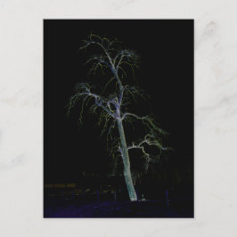 Dunkle Seite 8 pccnm Postkarte