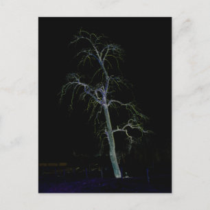 Dunkle Seite 8 pccnm Postkarte