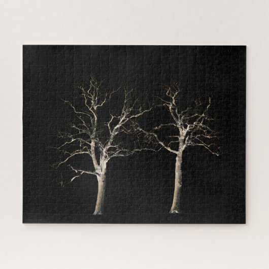 Dunkle Seite 9 16x20 520pc jpcna Puzzle (Horizontal)