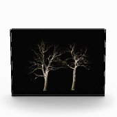 Dunkle Seite 9 pbcna Fotoblock (Vorderseite)