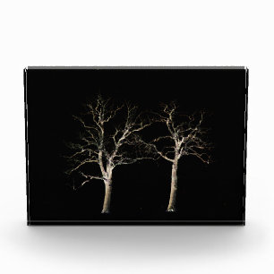 Dunkle Seite 9 pbcna Fotoblock