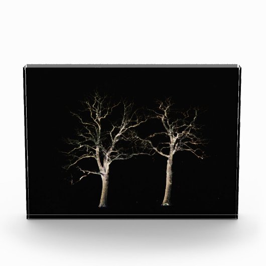 Dunkle Seite 9 pbcnm Fotoblock (Vorderseite)