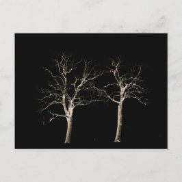 Dunkle Seite 9 pccnm Postkarte