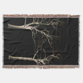 Dunkle Seite 9 tbcna Decke (Vorderseite)