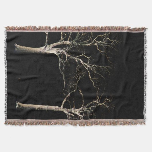 Dunkle Seite 9 tbcnm Decke (Vorderseite)