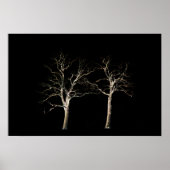 Dunkle Seite 9 wapcn Poster (Vorne)