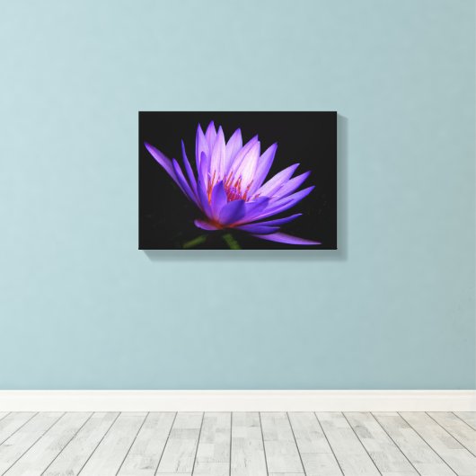 Dunkle Seite der Leinwand der Wasserlilie (Insitu (Holzboden))