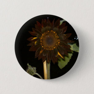 Dunkle Sonnenblume nachts Button