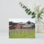 Dunkle Star Kellerweinerei in Paso Robles, CA Postkarte (Stehend Vorderseite)