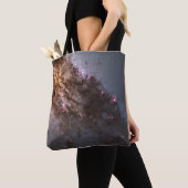 Dunkle Streifen von Staubkreuzen überqueren Centau Tasche (Von Nahem)