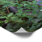 Dunkle Wünsche Poster (Ecke)