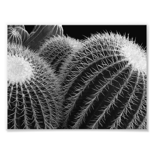 Dunkle Wüste. Fotodruck (Vorne)