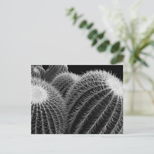 Dunkle Wüste. Postkarte (Stehend Vorderseite)