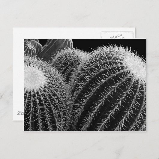 Dunkle Wüste. Postkarte (Vorne/Hinten)