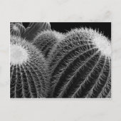 Dunkle Wüste. Postkarte (Vorderseite)