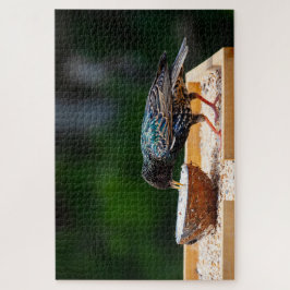 Dunkler Feathered Bird isst Kokosnuss Puzzle