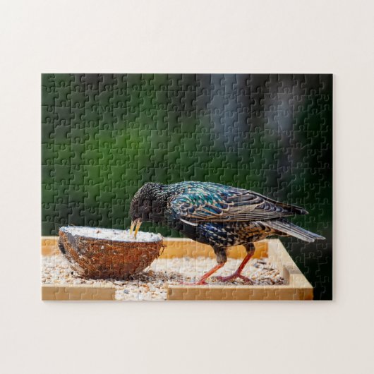 Dunkler Feathered Bird isst Kokosnuss Puzzle (Horizontal)