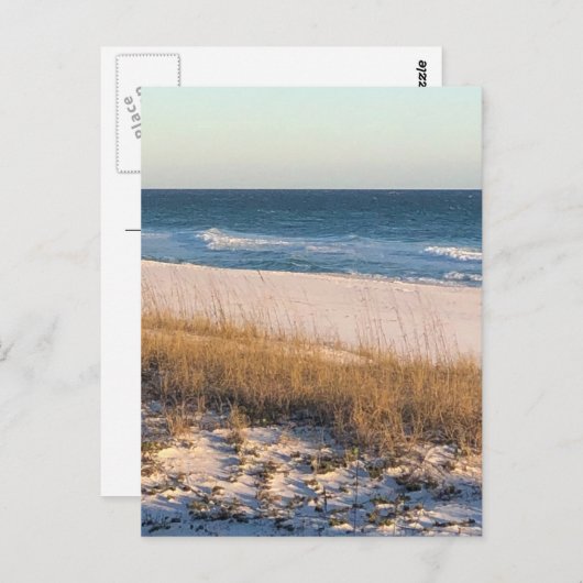 Dunkler Flieder Postkarte (Vorne/Hinten)