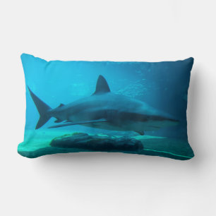 Dunkler Hai (Carcharhinus Obscurus), Ushaka Lendenkissen