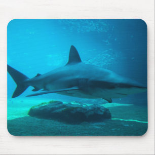 Dunkler Hai (Carcharhinus Obscurus), Ushaka Mousepad