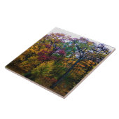 Dunkler Herbstwald Fliese (Seite)