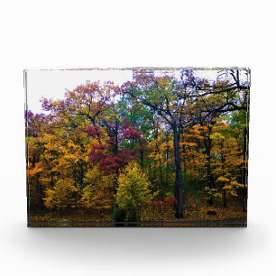 Dunkler Herbstwald Fotoblock