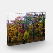 Dunkler Herbstwald Fotoblock (Links)