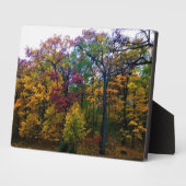 Dunkler Herbstwald Fotoplatte (Seite)