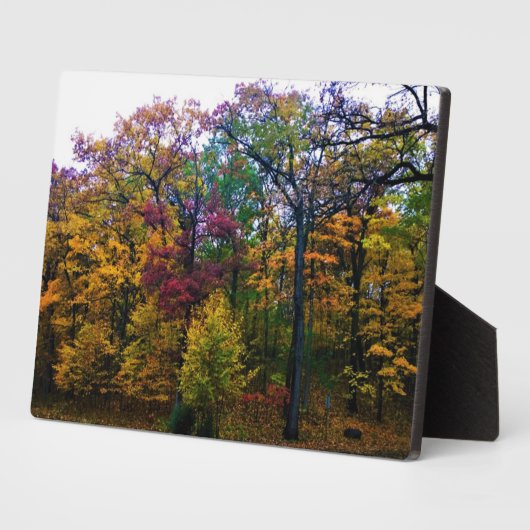 Dunkler Herbstwald Fotoplatte (Seite)