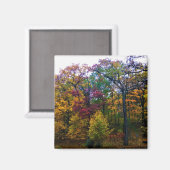 Dunkler Herbstwald Magnet (Vorderseite/Rückseite)