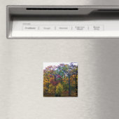 Dunkler Herbstwald Magnet (In Situ (Geschirrspüler))