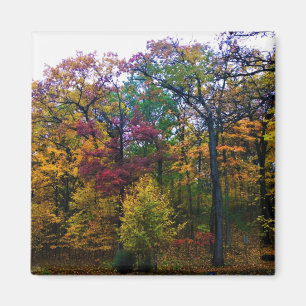 Dunkler Herbstwald Magnet