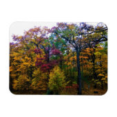Dunkler Herbstwald Magnet (Horizontal)
