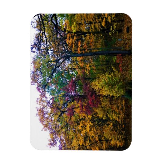 Dunkler Herbstwald Magnet (Vertikal)