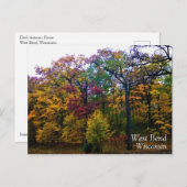 Dunkler Herbstwald Postkarte (Vorne/Hinten)