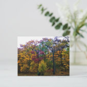 Dunkler Herbstwald Postkarte (Stehend Vorderseite)